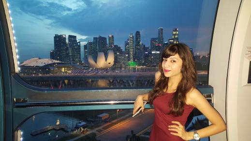 singapore flyer view.jpg
