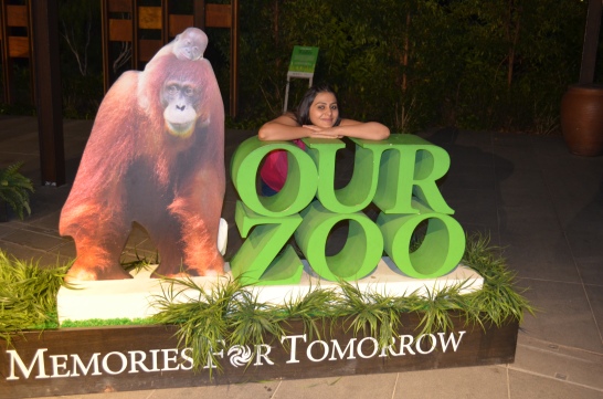 Singapore Zoo - Night Safari